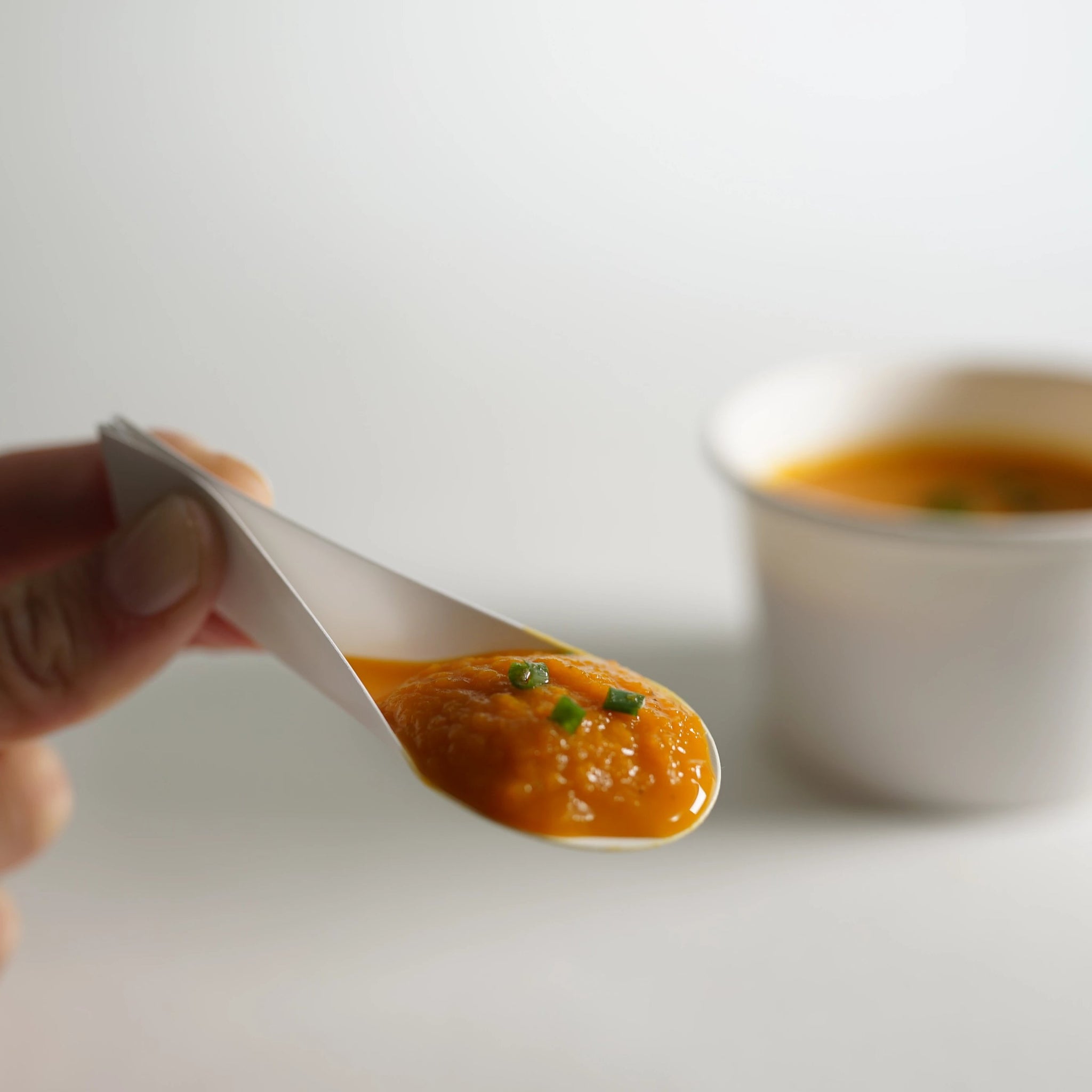 EcoTaster® Mid - Bulk Case of 5,000 Compostable Tasting Spoons 3.75" (95mm)